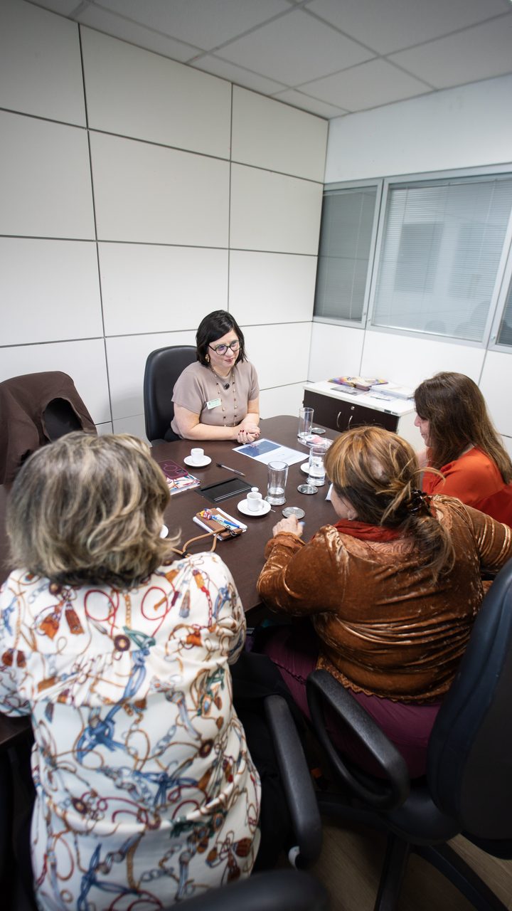 Ana Luz em encontro presencial com profissionais